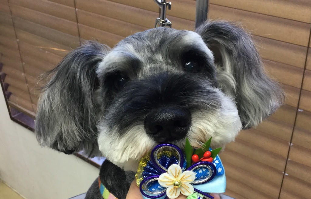 6BD6AB59-18F4-4A54-A195-0A0DB65823B0