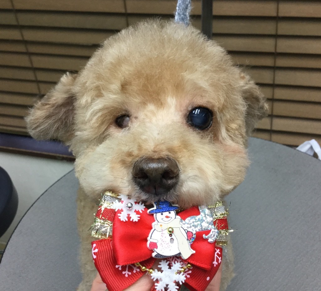 6E9868AE-704C-4FD8-8276-538062E843B3