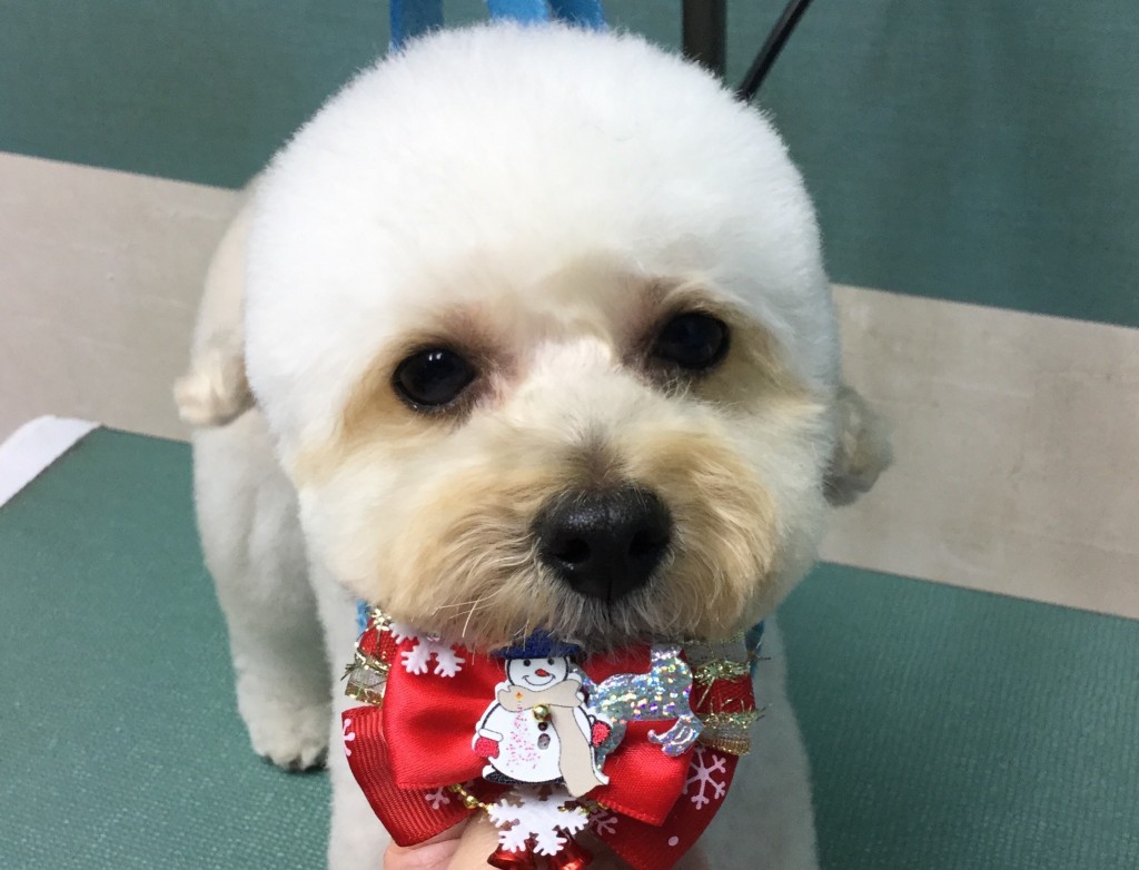 73AE4401-034B-4F92-BCA4-0BAB1514C209