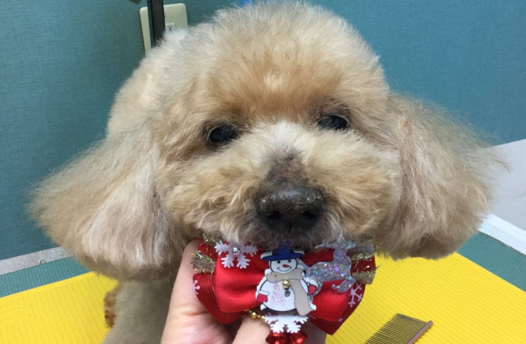 75F0AC87-10A8-4FC2-9F74-190CA00B67CA