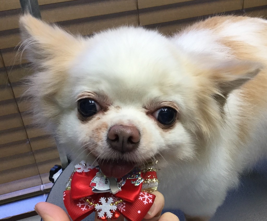 766FF312-6EE7-4D03-918A-00842521D60C