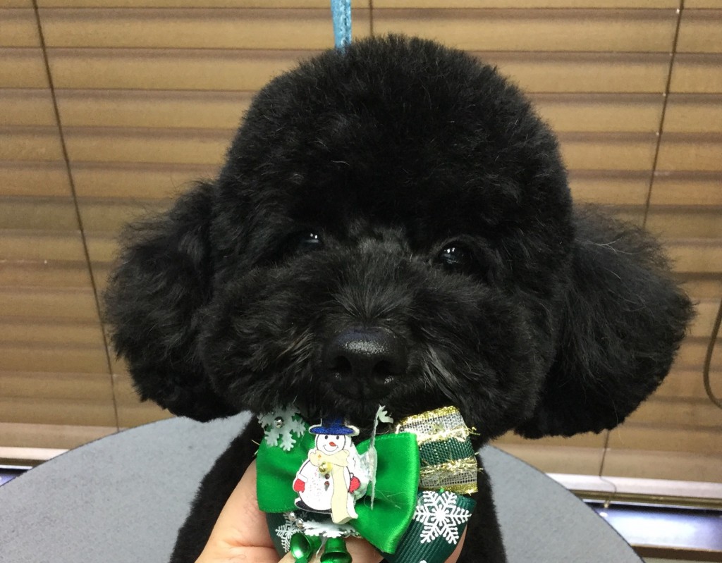 7919B32B-82E7-429E-87DC-3A4FBD70FAB2