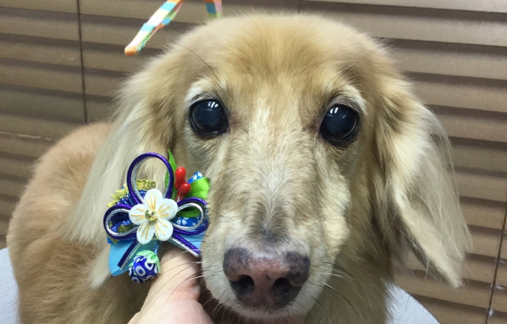 7B2A0BD4-4A4A-4914-8F01-8CB285374BDD