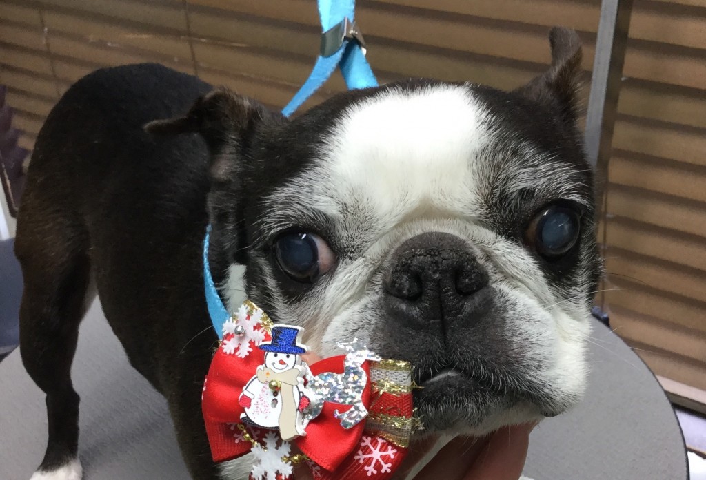 82D85793-9990-4198-A66B-E733D427B76F