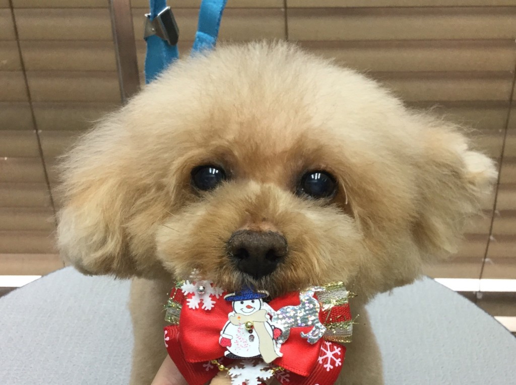 86F130F6-A030-4A82-A150-8FB3952DF3EA