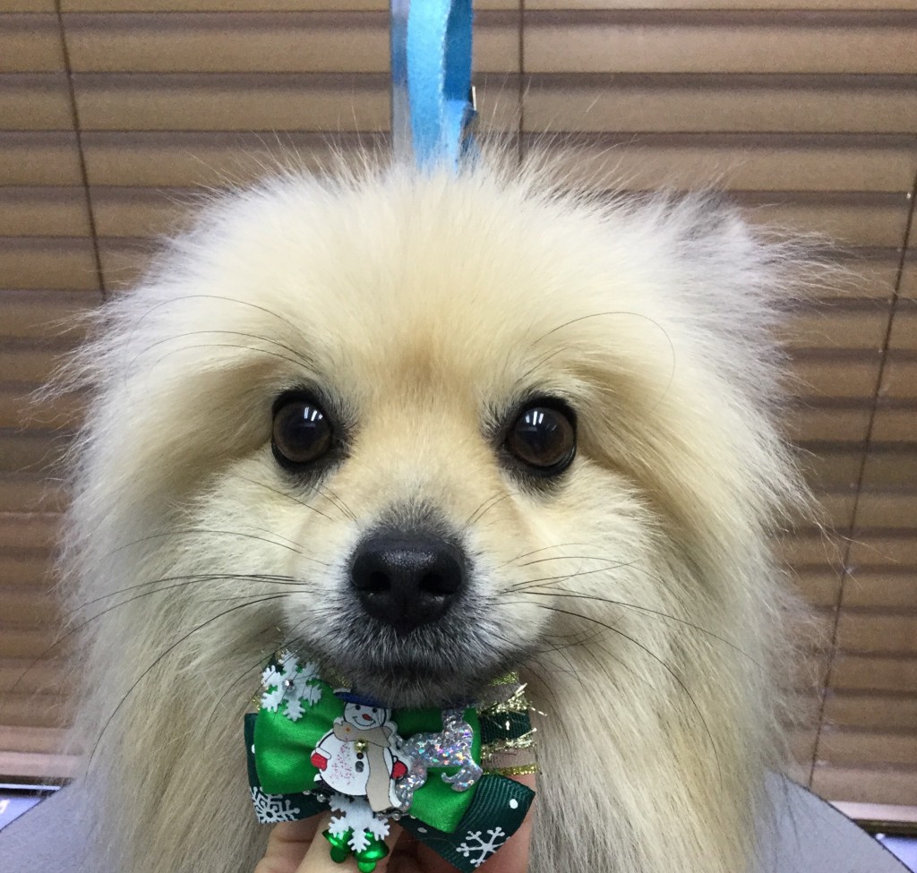 87A952AC-8C70-4858-9410-4CDD1DF202DE