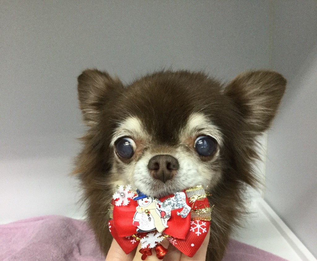 883A9381-62FB-43F1-B0B6-CA998BB314B4