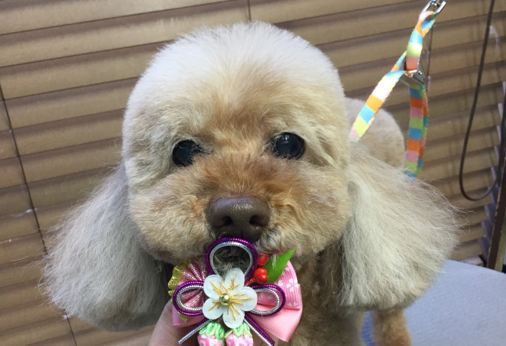 88C68A43-2C0B-4C17-B2AD-E22BCA92C0C7