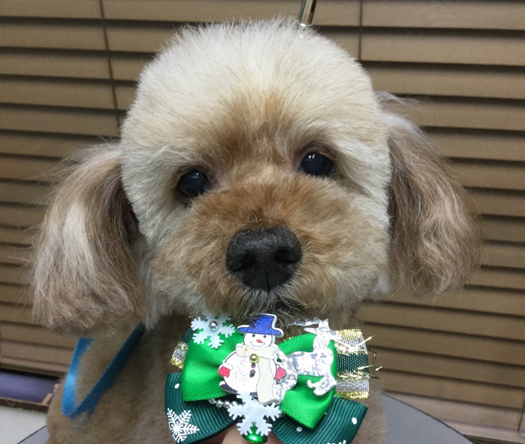 8C302CB3-1A31-4DF5-AF0F-8C08808E81A1