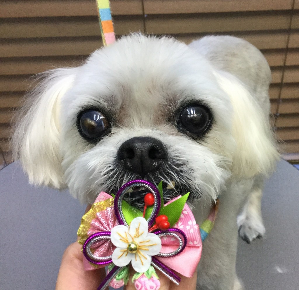 8D199CD3-1B7C-47A4-B58E-0396B148E552