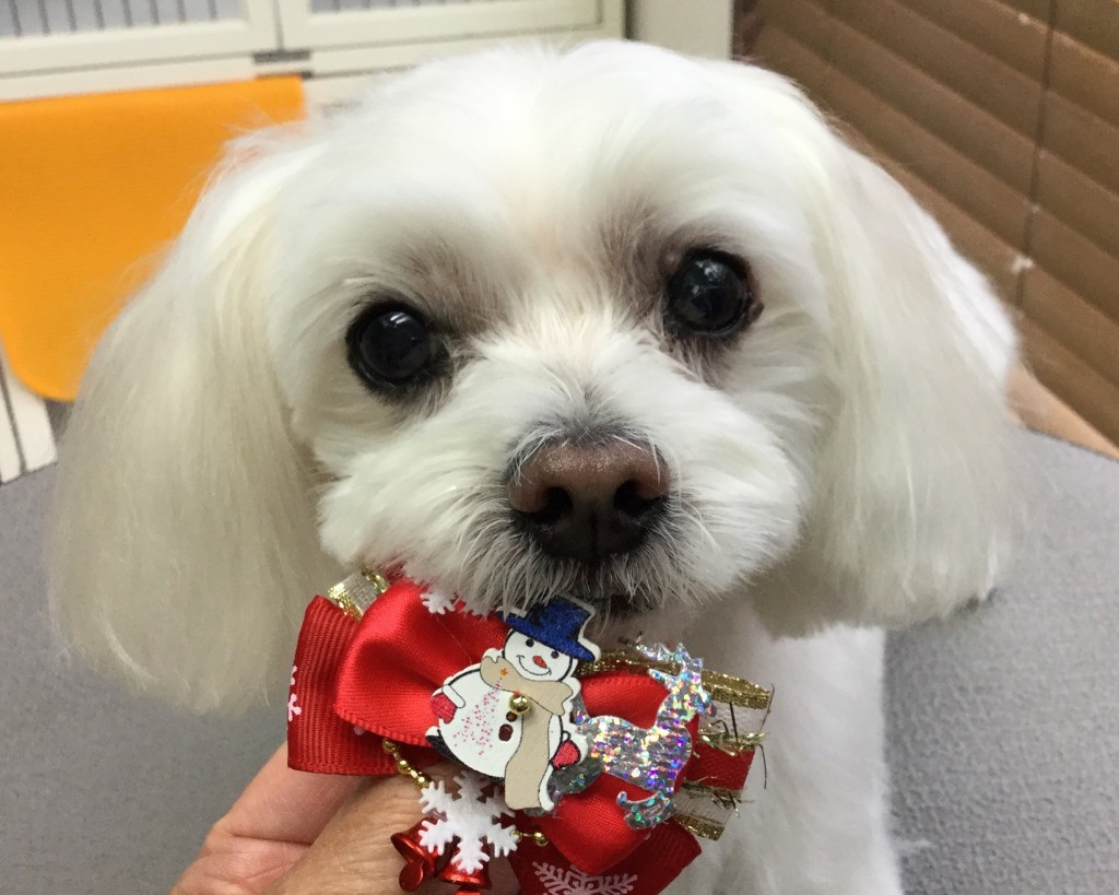 90B551AE-0664-4EAB-8B1B-30DB27B3C8B1