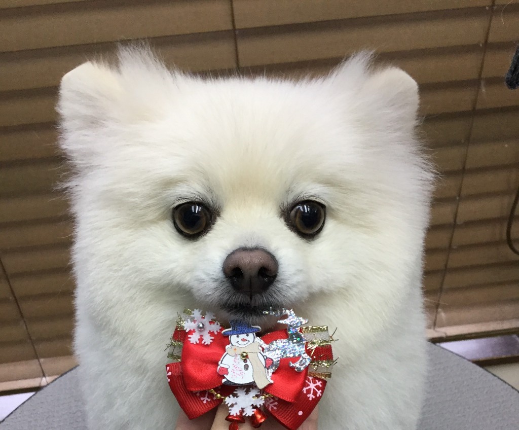 92249547-DE39-47AA-9D96-C47291324041