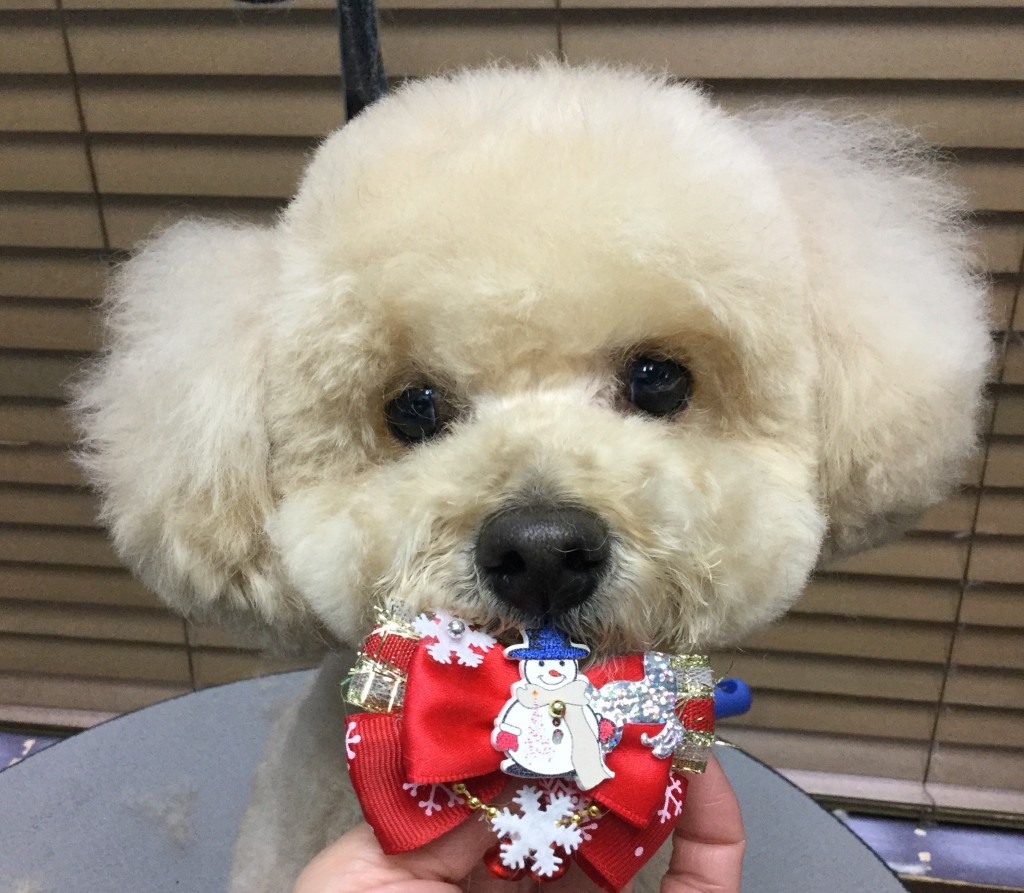 93CD5D4A-DFB6-4ECC-8196-B7D035B2EE4A