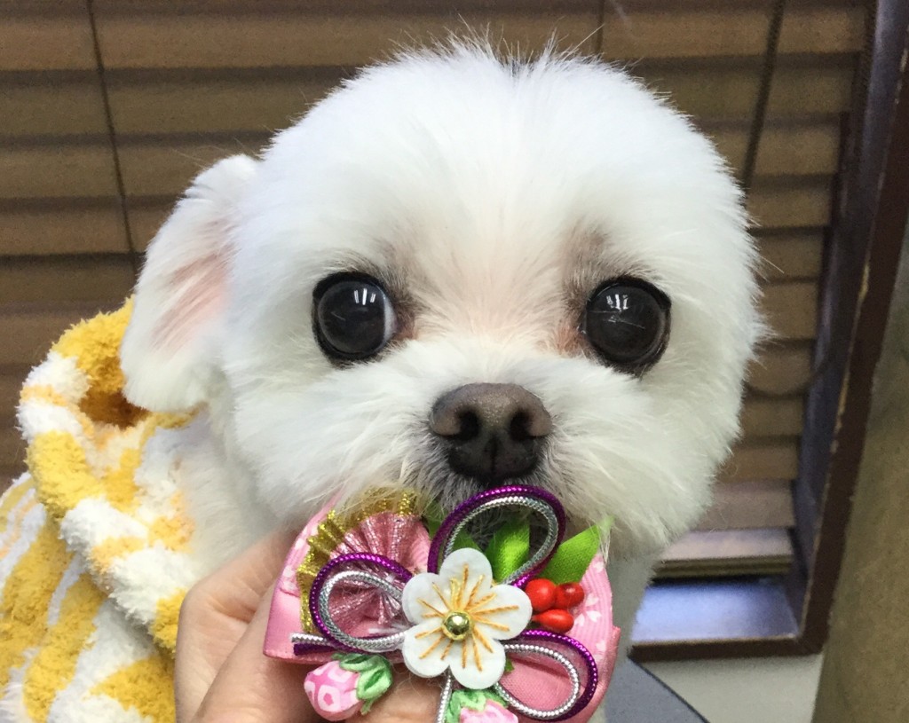 93DAA0BA-E114-44E1-B93F-E9751B320A1A