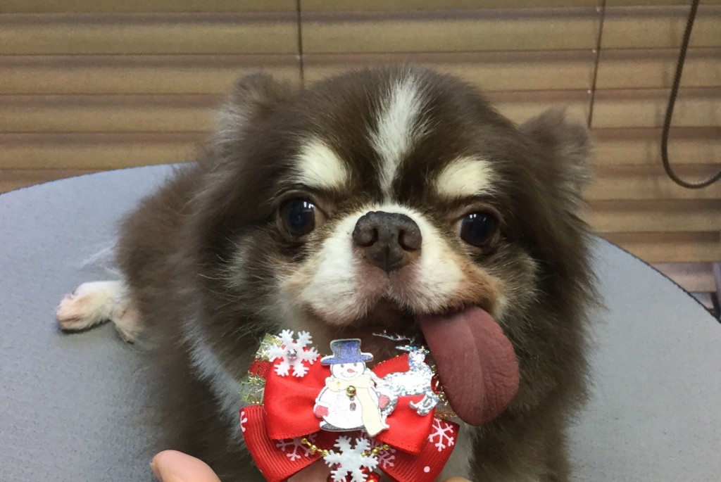 95288EE1-3C08-446C-9D99-9129A94133D8