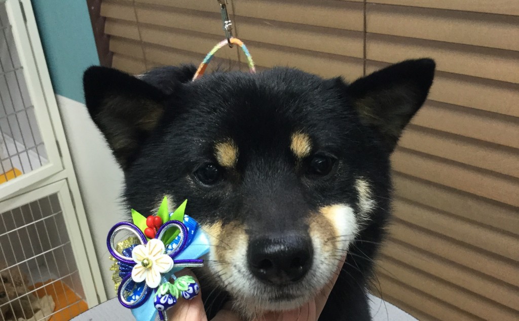 95870D87-9A81-497E-9840-77A5AF27A01E