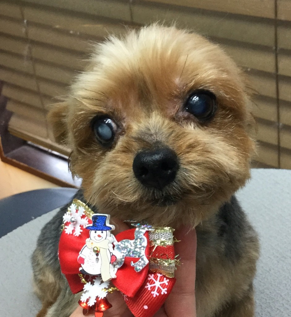 968347DD-7740-4E79-8656-A29406E4F98F