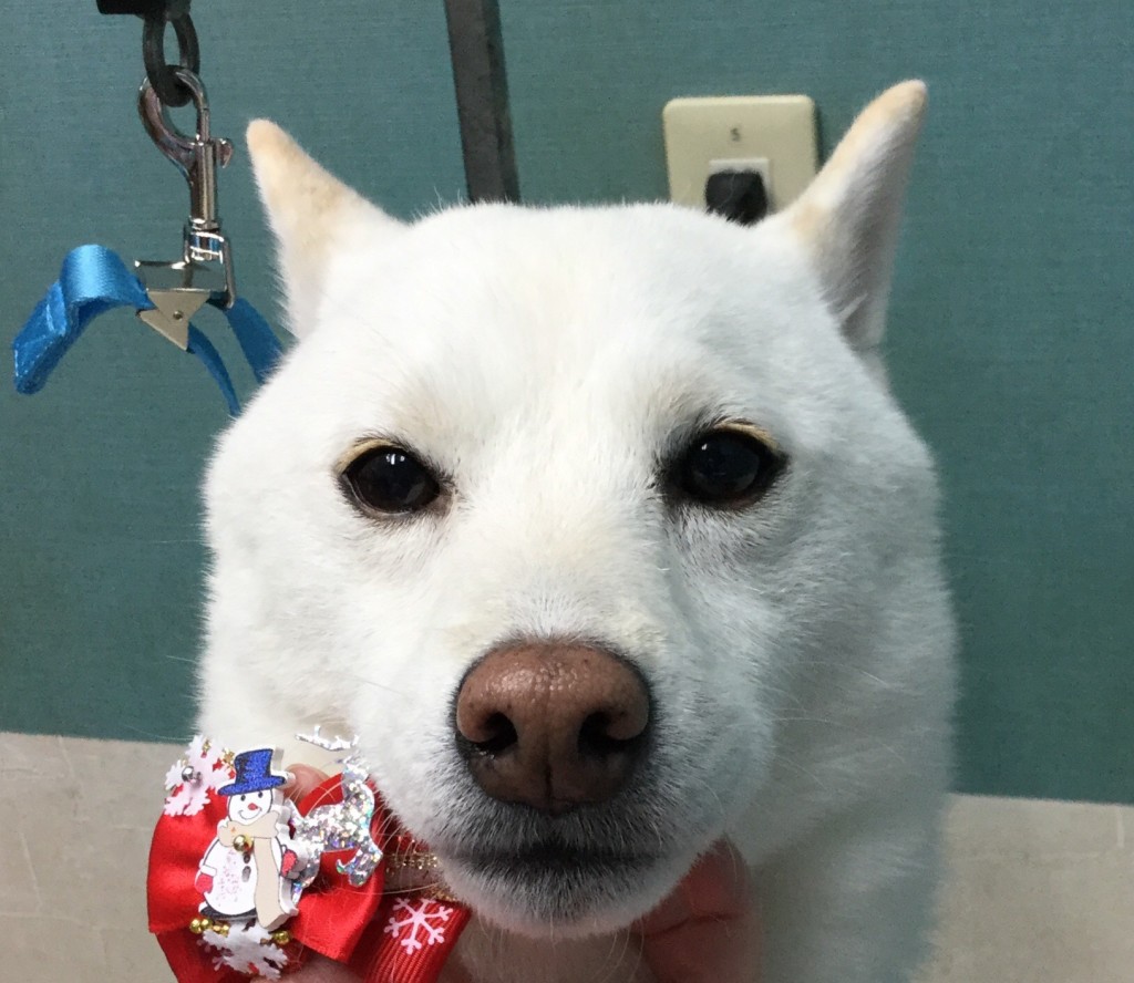 98648AF6-AE7F-4680-8ECA-0E0E8FE6D55C