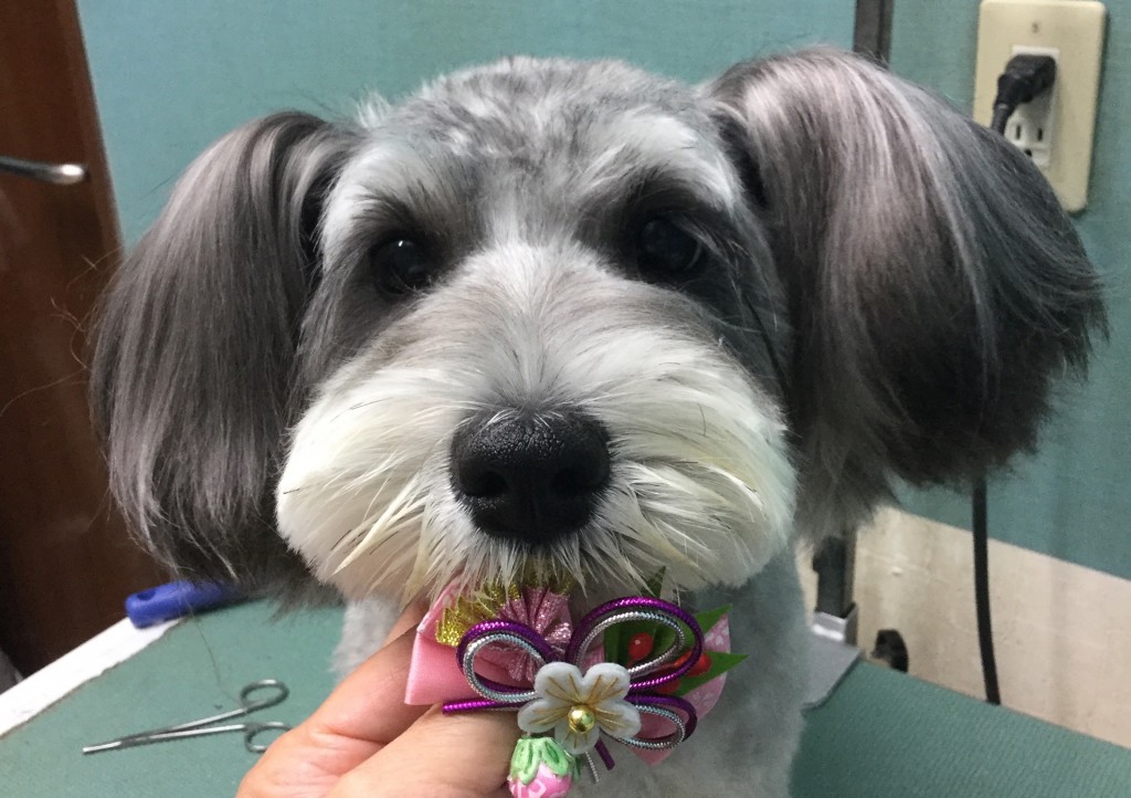 988BB5B3-3F3A-481D-A648-8B75FBC1C44A