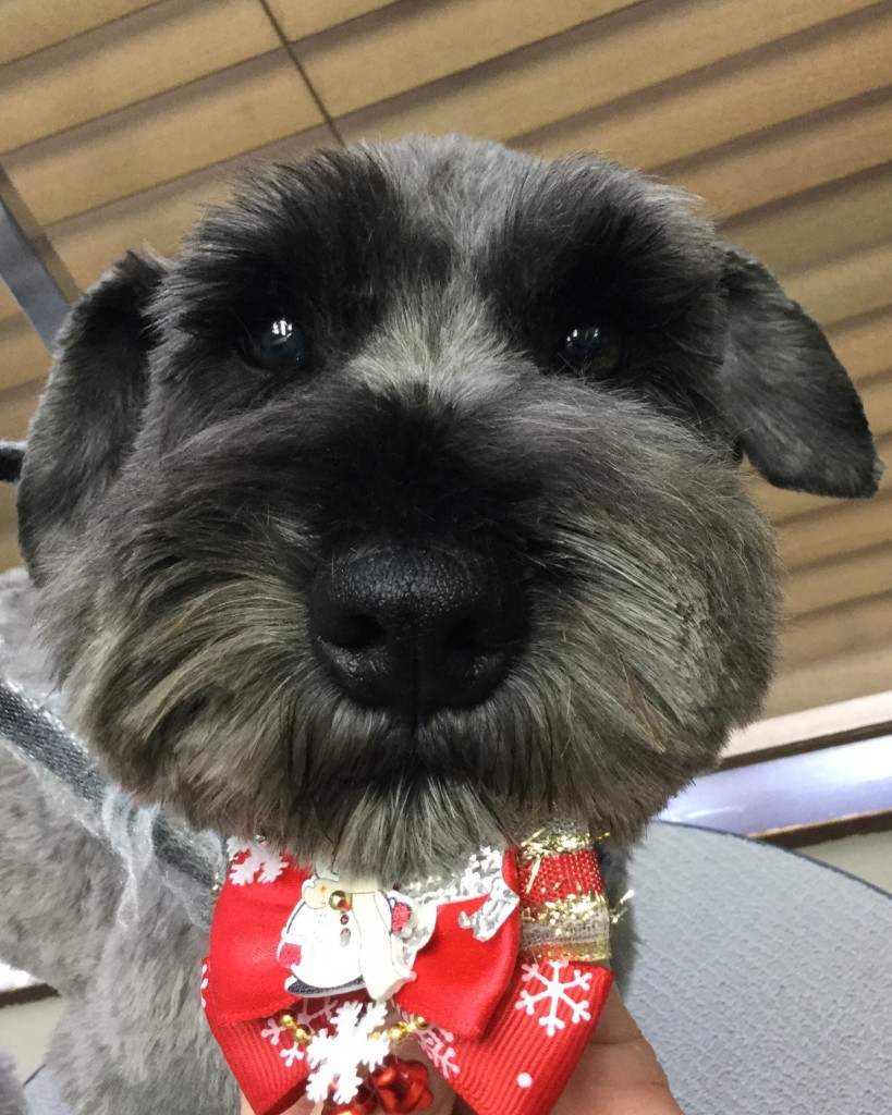 98928CB9-51A2-46C4-96FA-A81D8B345117