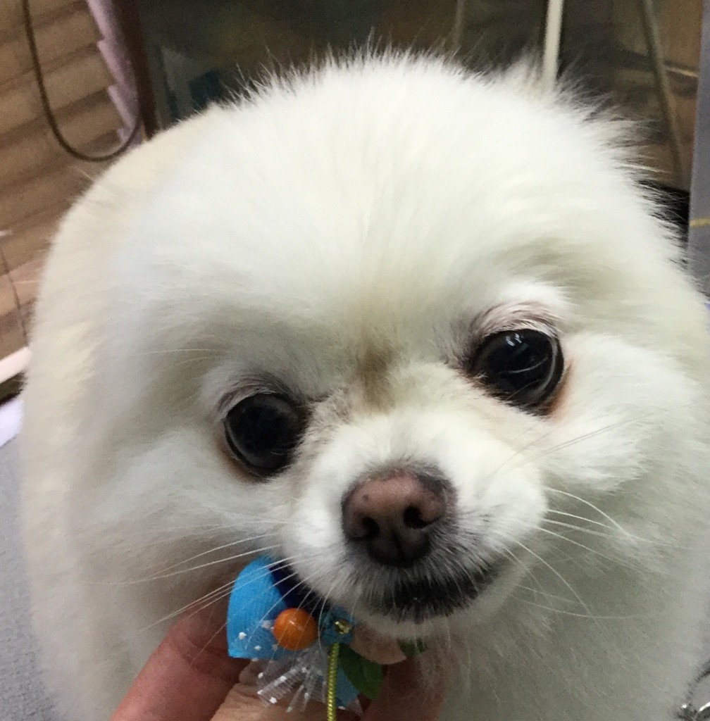 9A7C1C8F-CEA6-4E65-B24D-16C0FA001839