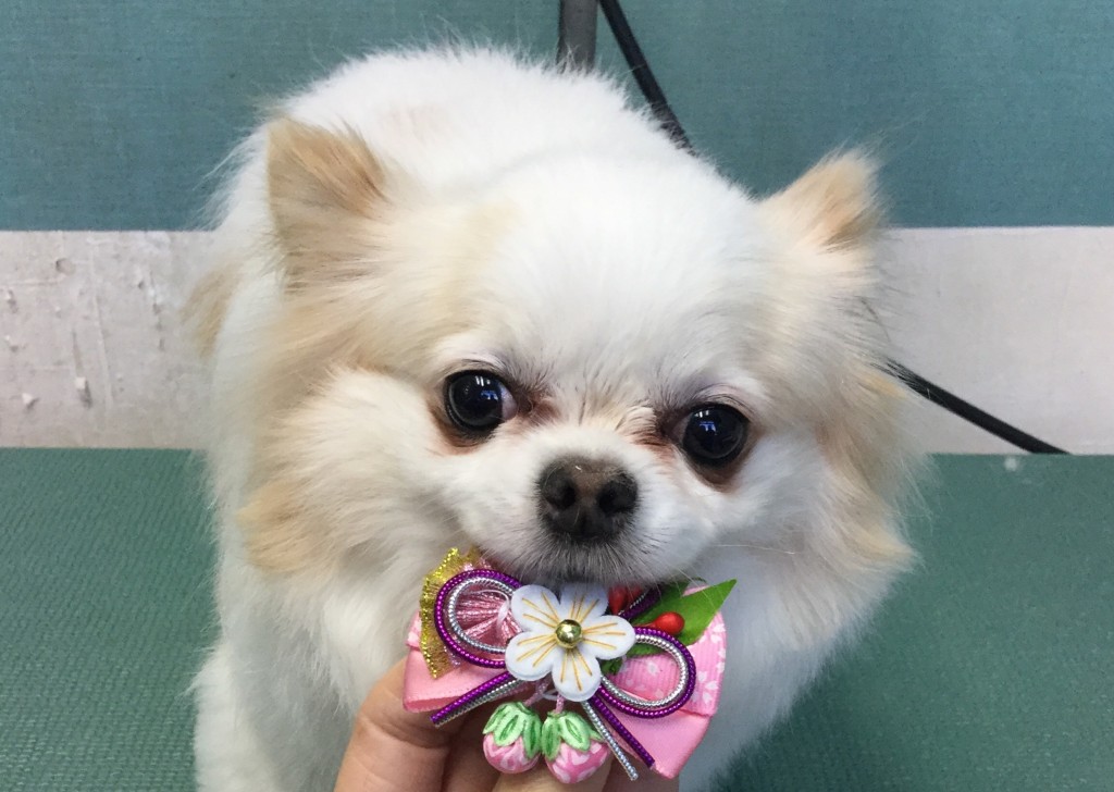 9A8A5CB8-C6B6-4B6E-96EA-662FB1C1134C