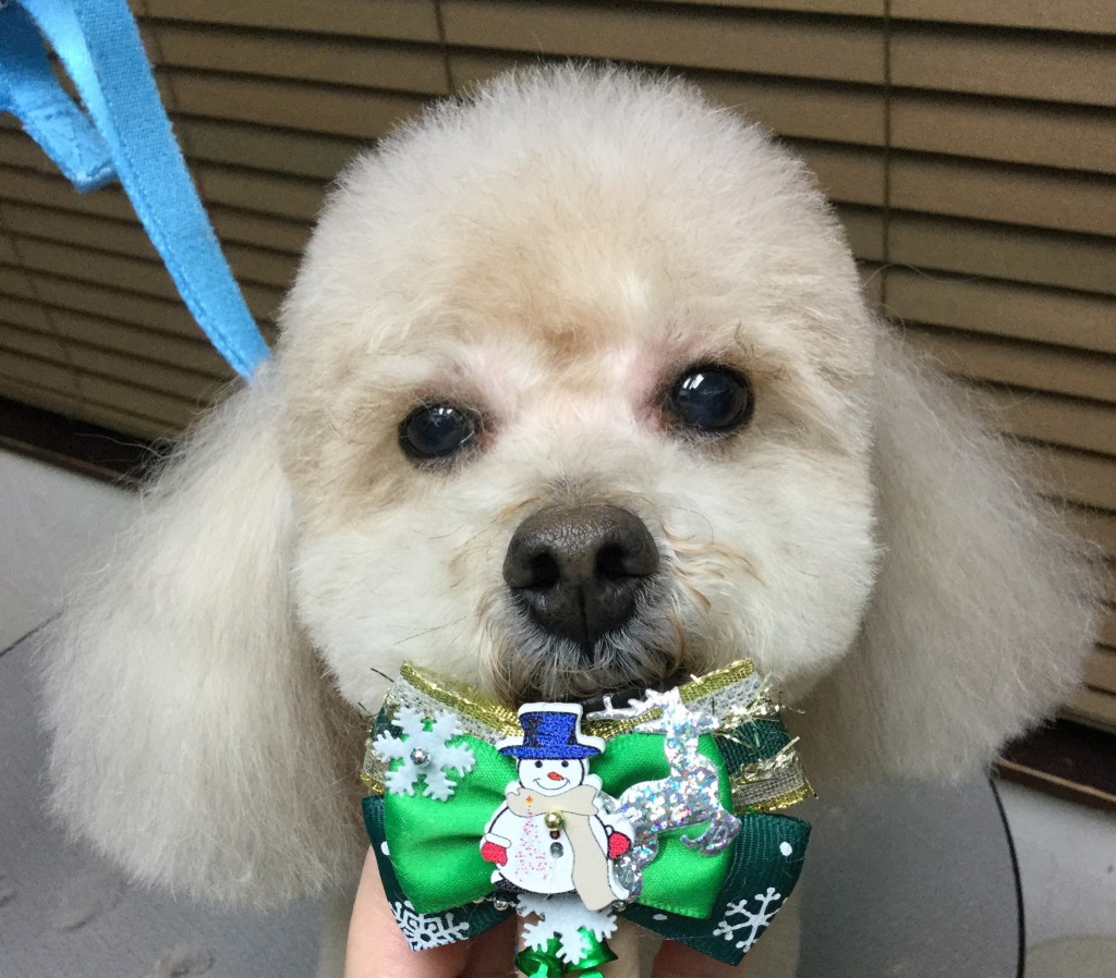 9F702348-0DF6-4698-8191-0D36C338624A