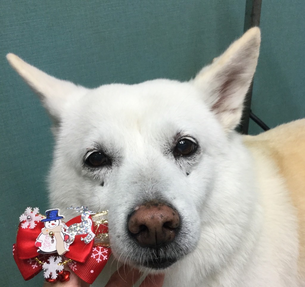 A3911D92-27BC-4A7C-9362-45A84629A2FE