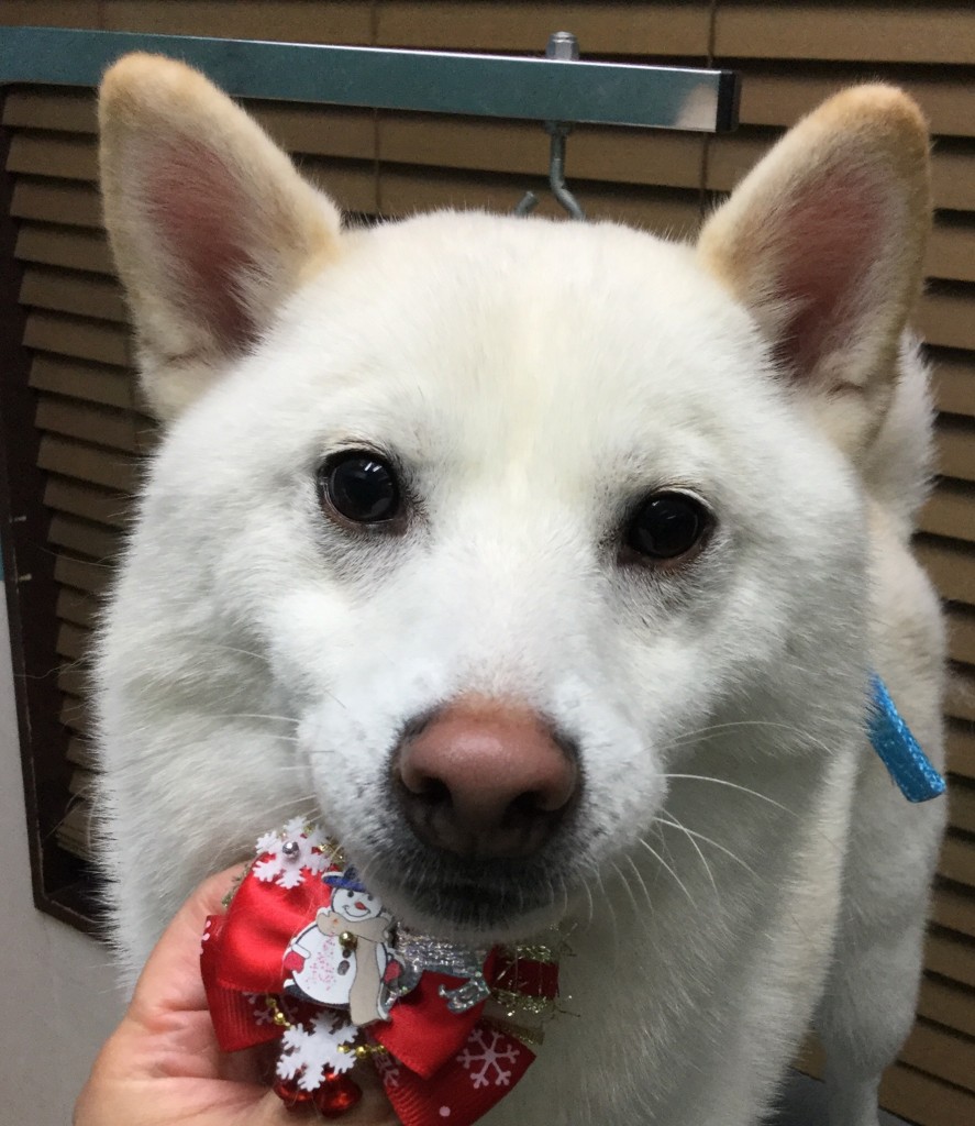 A74836C6-5131-4DAB-89B0-6E8C2E1CE747