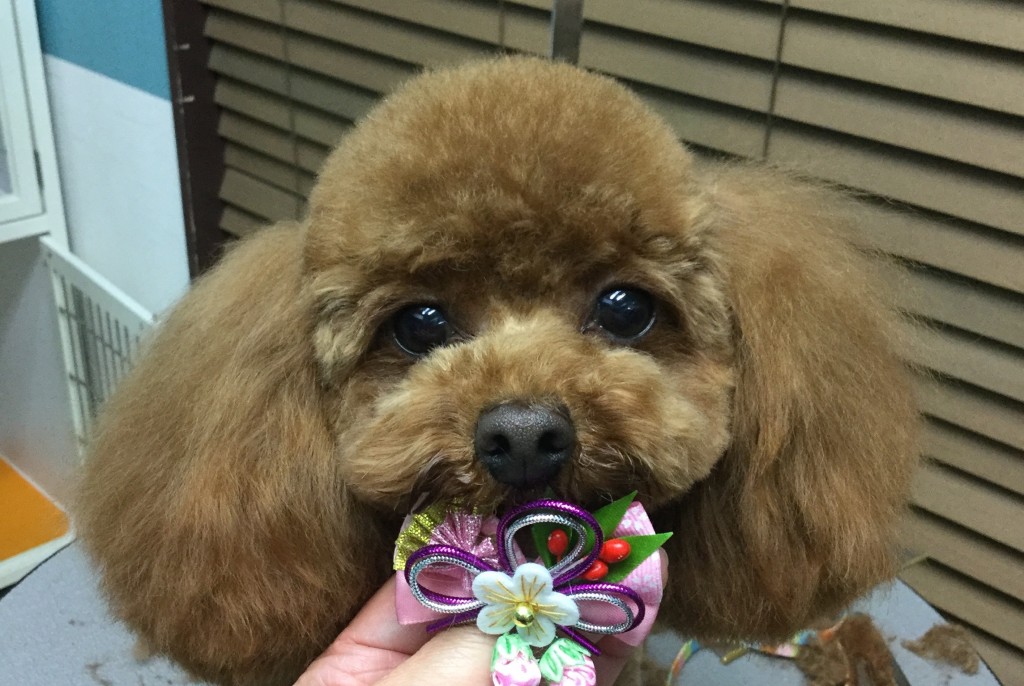 A7CF0CDE-3D86-4ED2-BA22-955079652E39