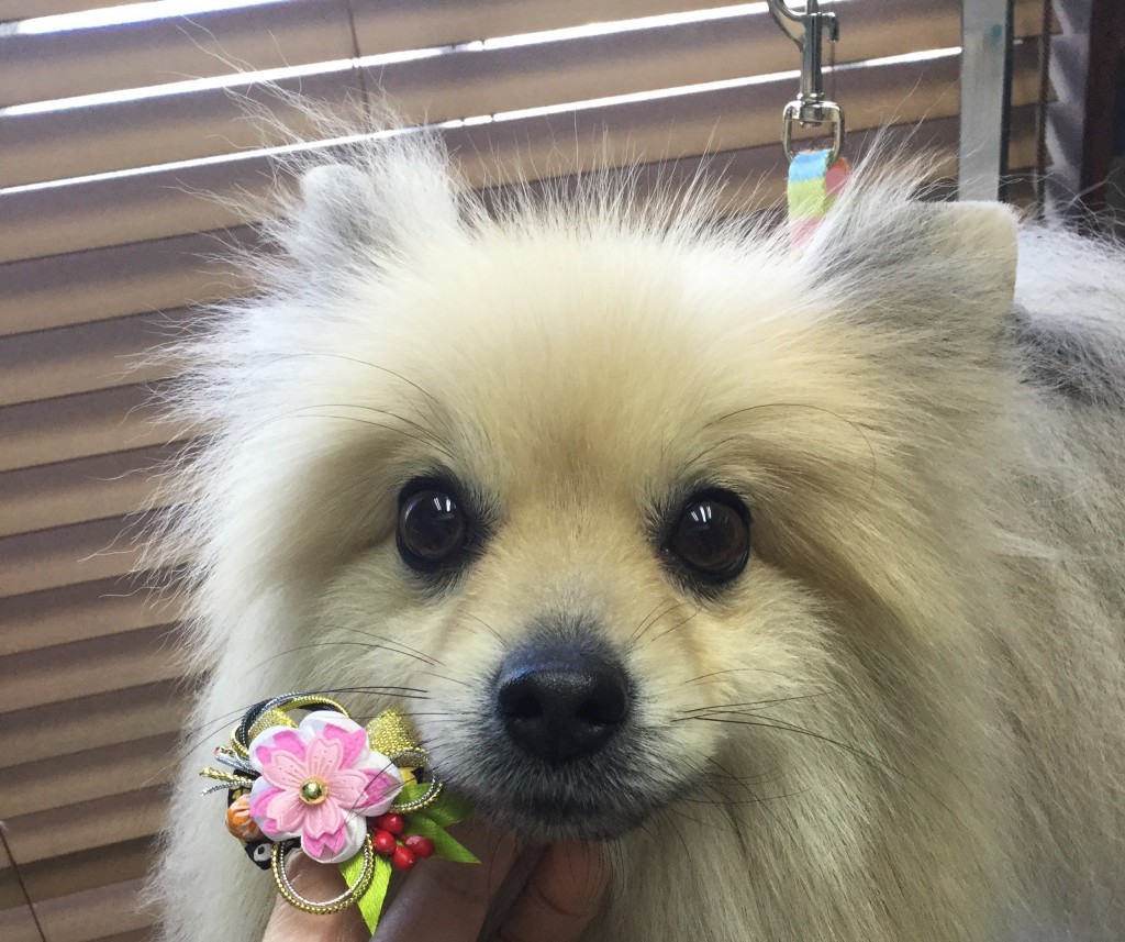 A81FBC0B-AC7D-48F4-8521-64A13F306193