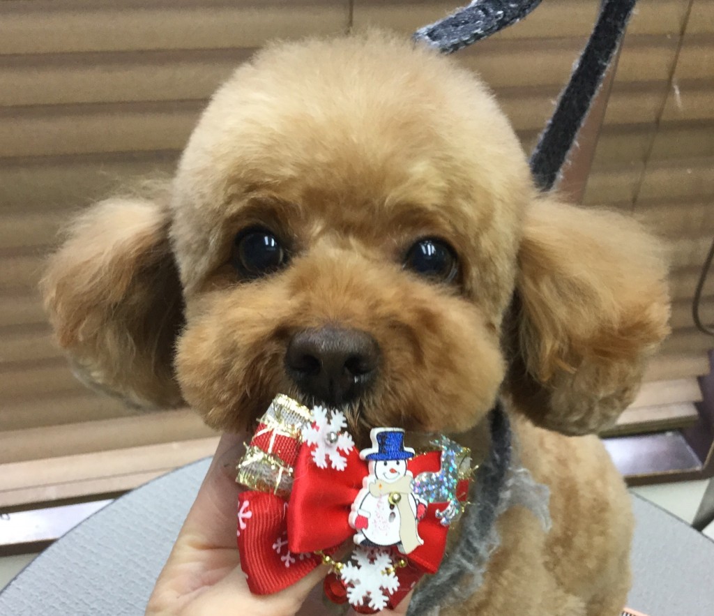 A94F97C3-93F5-42B8-908B-8FE54226C90E