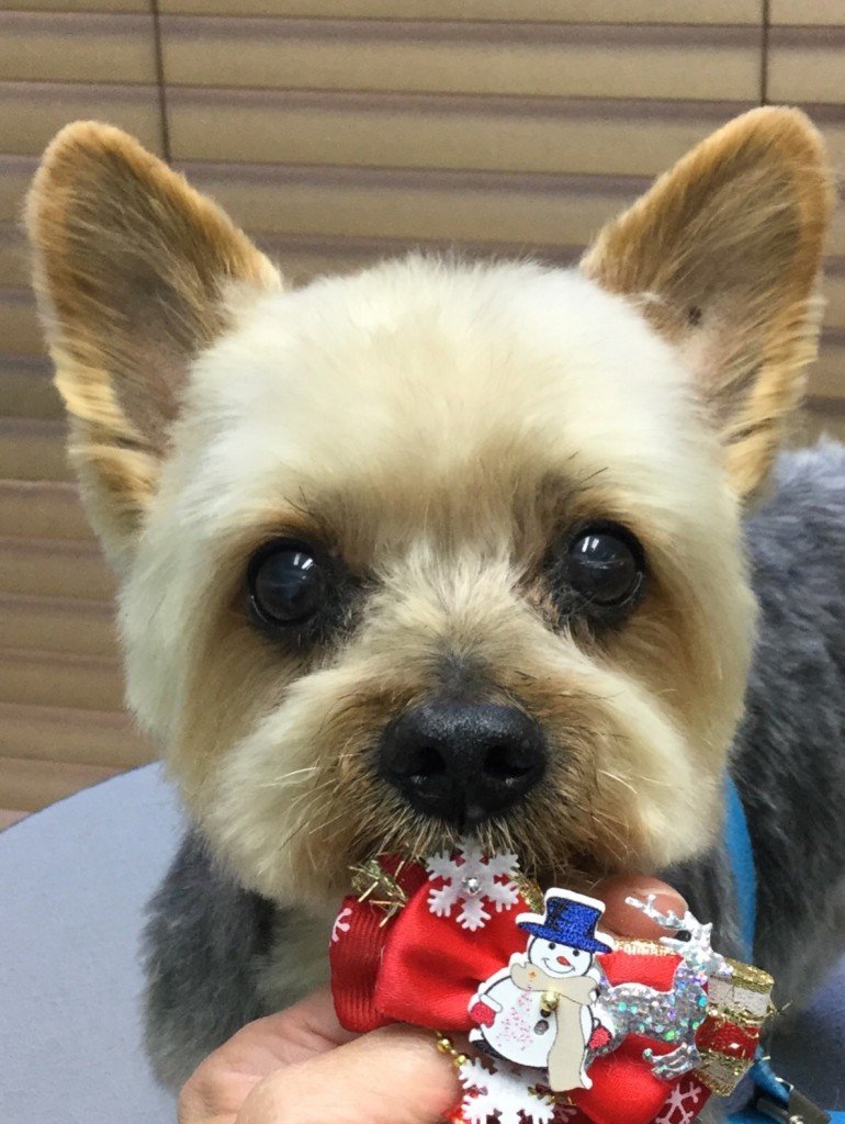 ABA1701D-0013-4E0F-AFF6-DBF095406BC2