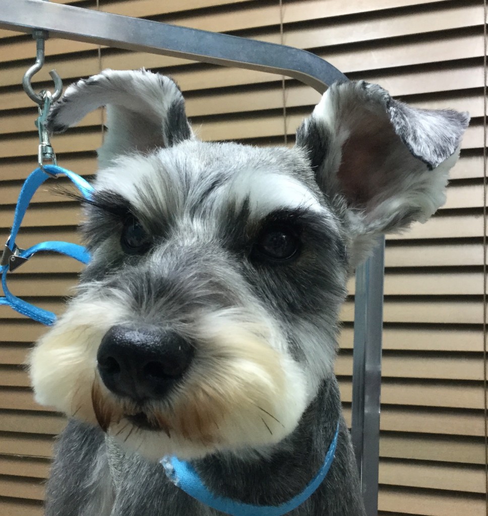 ACFAE187-B079-42C1-B6A2-B0880518CE6F