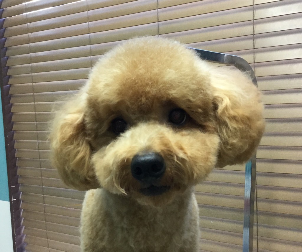 AD89A219-9DE4-41C8-B2C5-E66CF02225BC