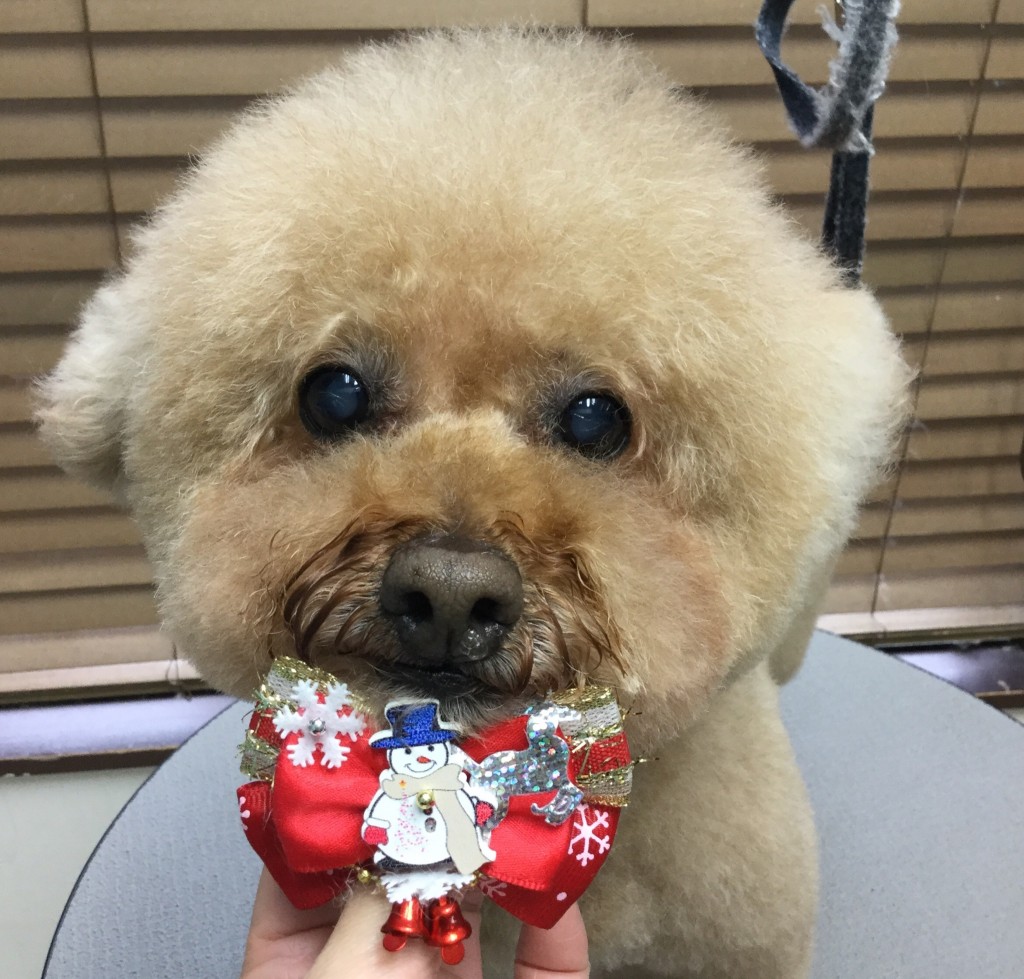 ADFAA275-A00F-4049-8520-A76B88EEBC65