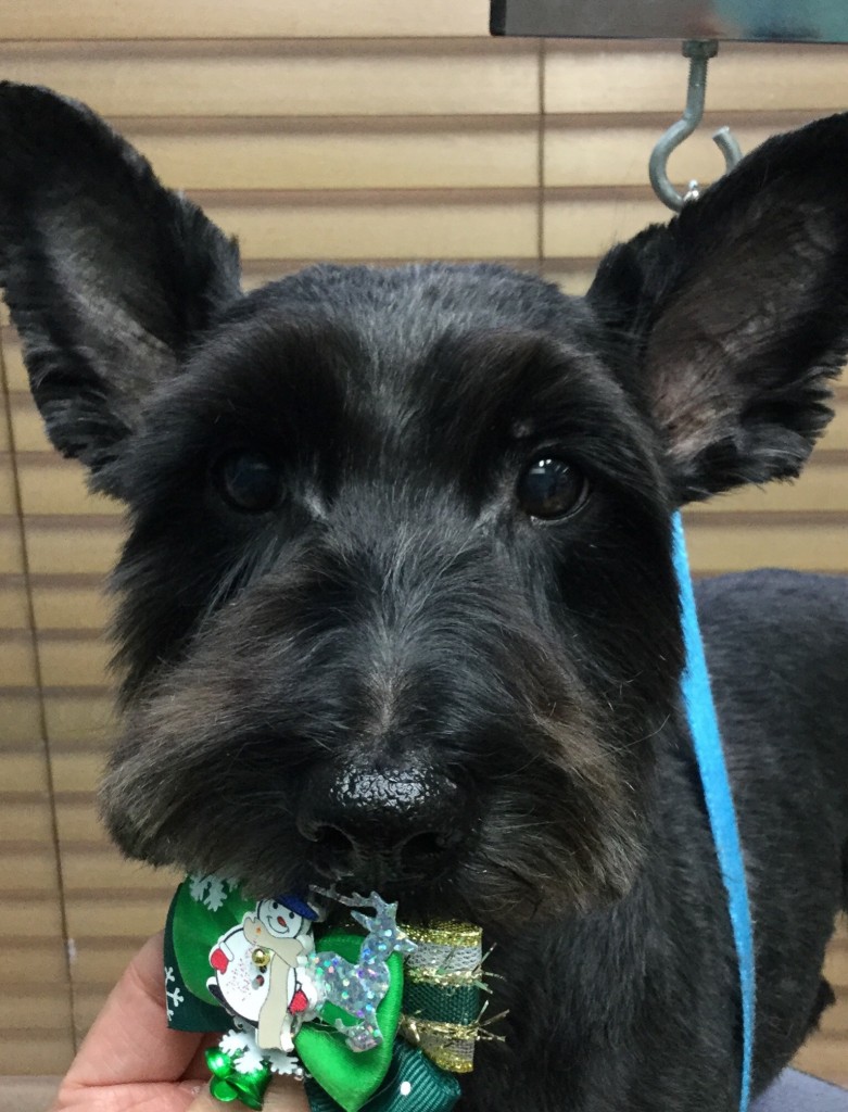 AE09B32F-5EC5-4F24-BB8C-37CF8D6BBA5B