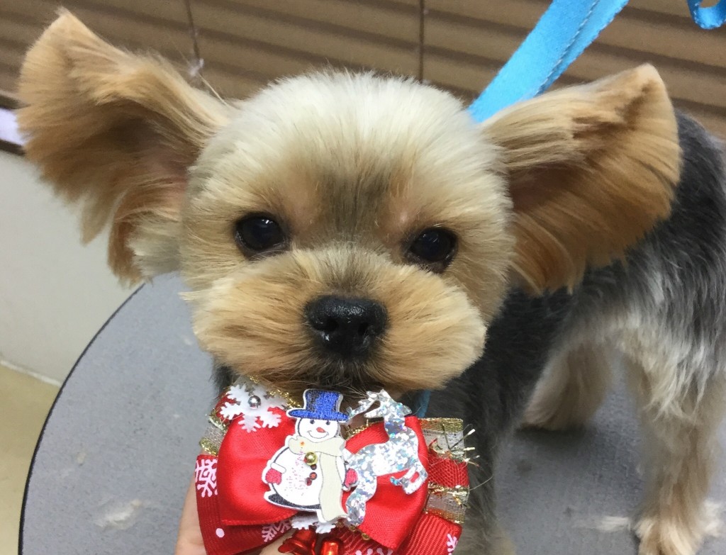 AFEE23C3-F6A8-48DA-A1D1-C009F5B7F21A