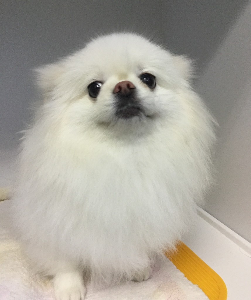 B1112A27-A59E-4D21-A69D-D9DEB0334F4B