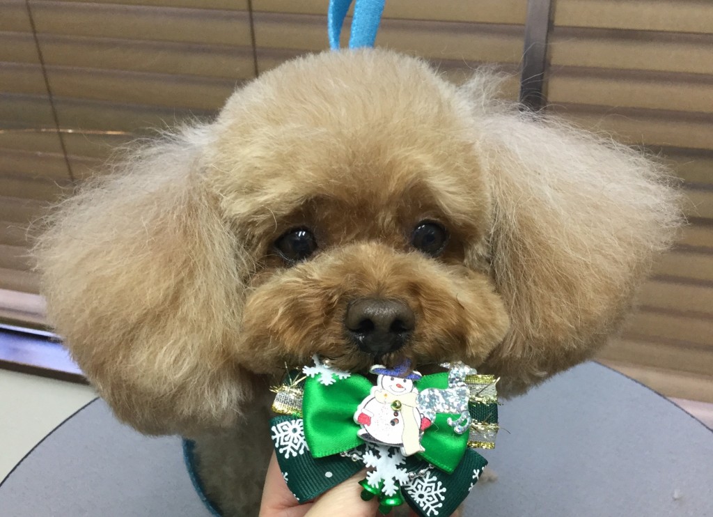 B256AFAE-BA0C-4F16-B596-50D04AEB713B