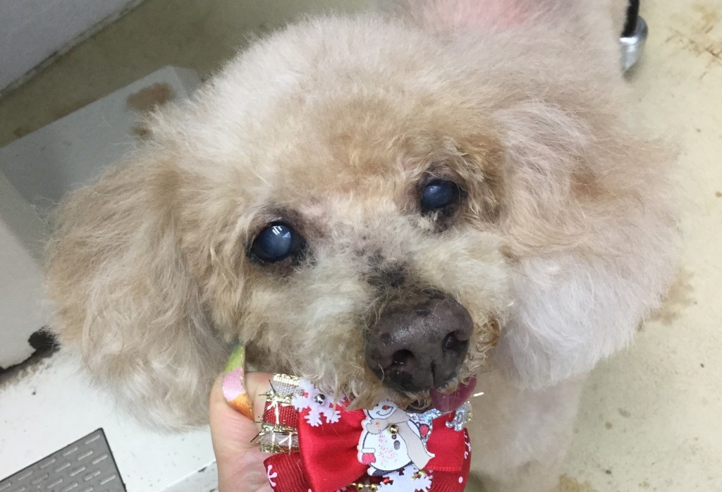 B81A00B7-AF4D-45AE-AC1C-69699EC143DA