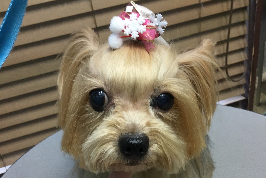 BD03F925-FF6F-40AC-8560-245EE7E4D232