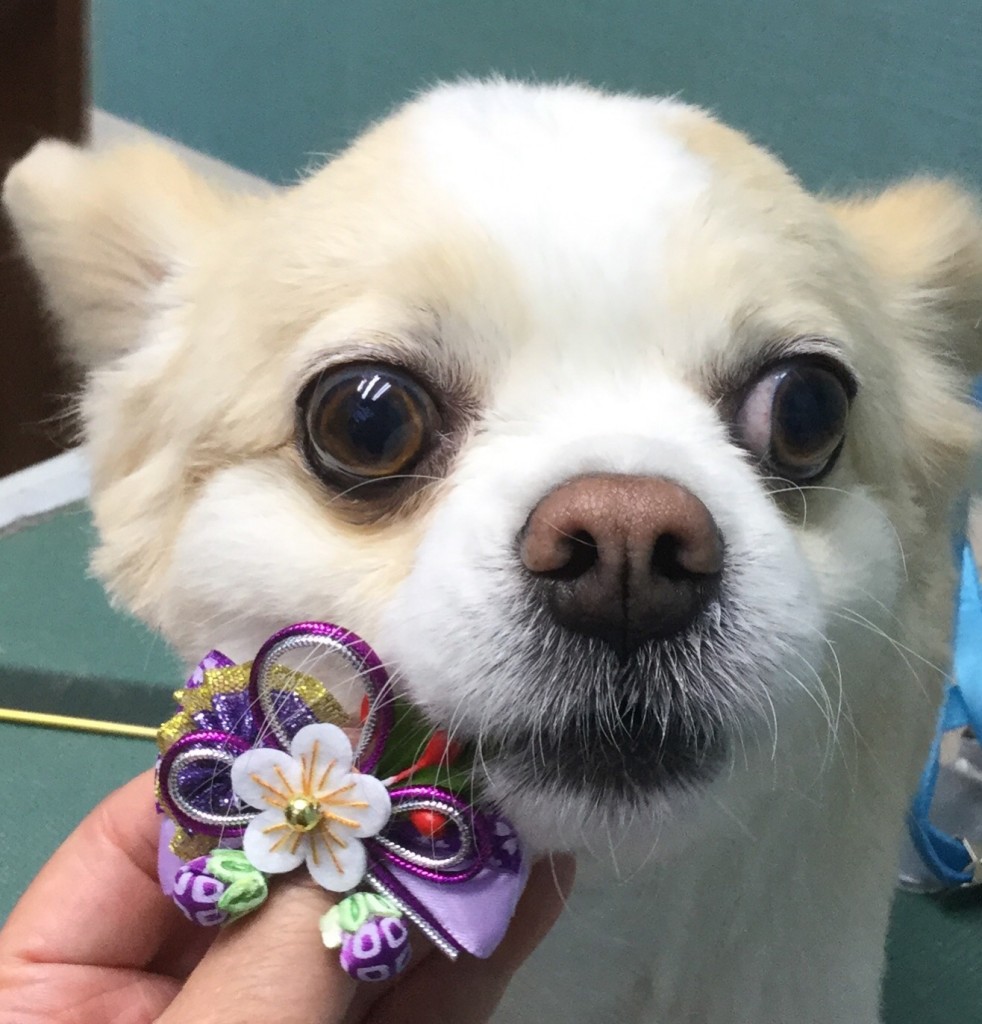 C2CBCEF8-C703-4D59-BE7E-CAFBF63D0383