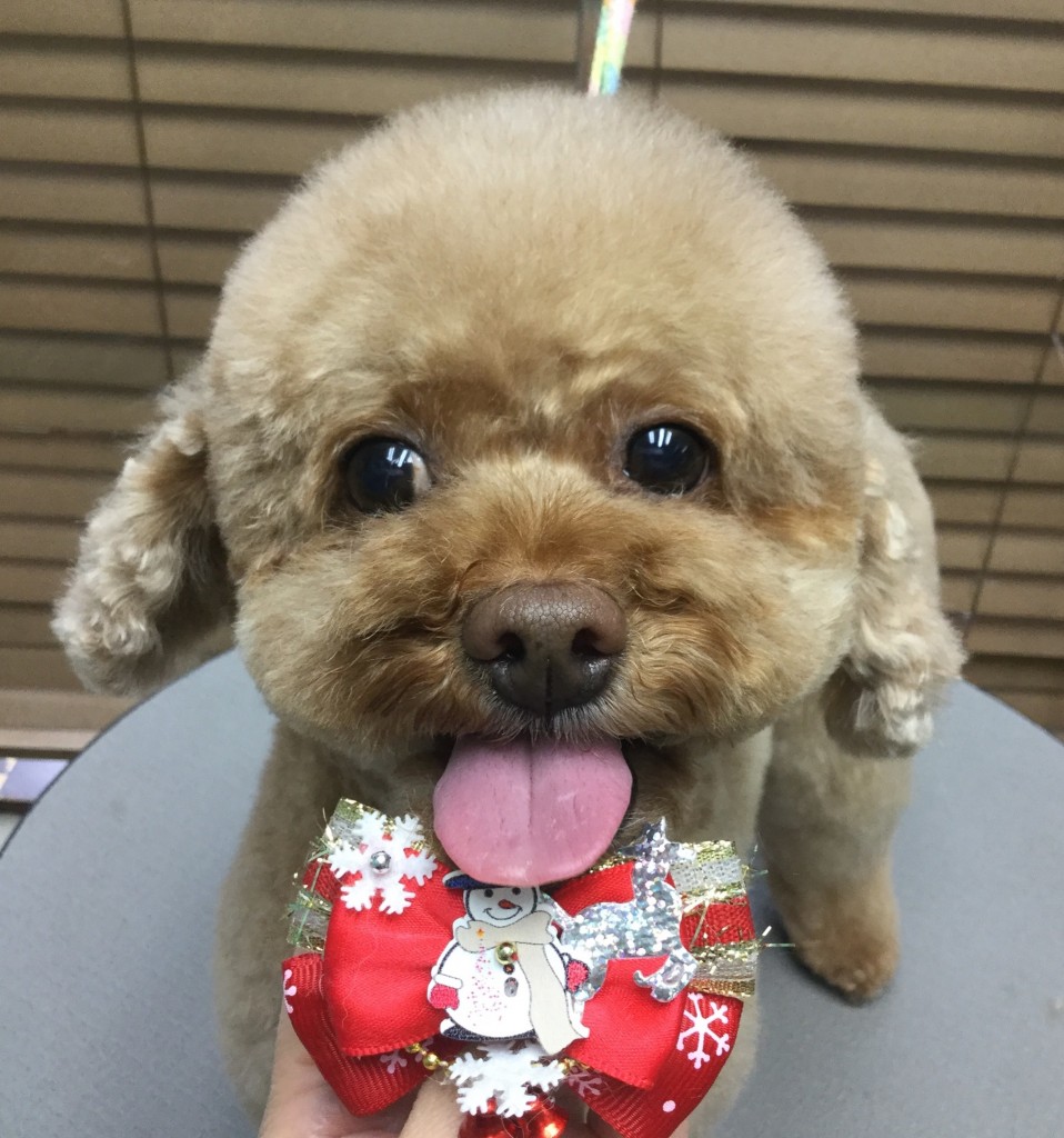 C3CEEB9B-F9A8-4452-B6AC-D305060302E2