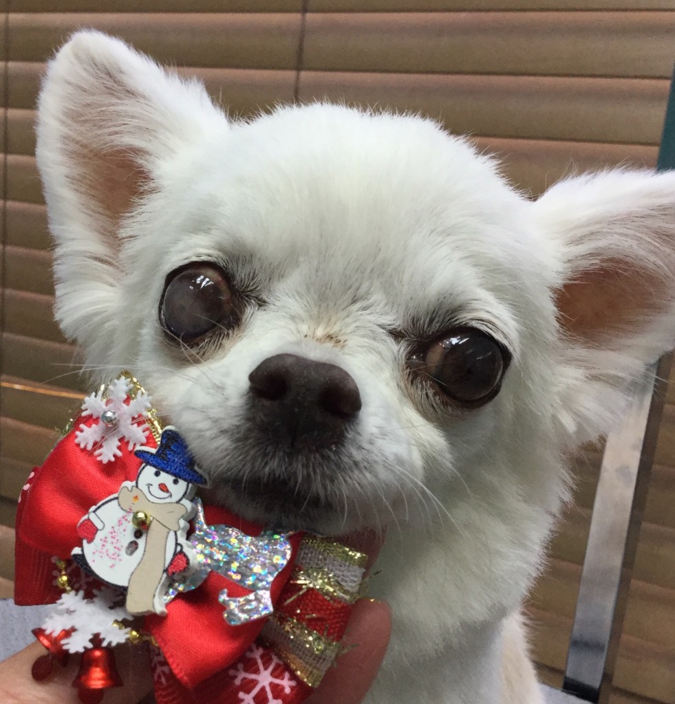 C498A47A-A85F-49F6-BF7D-14435E76F765