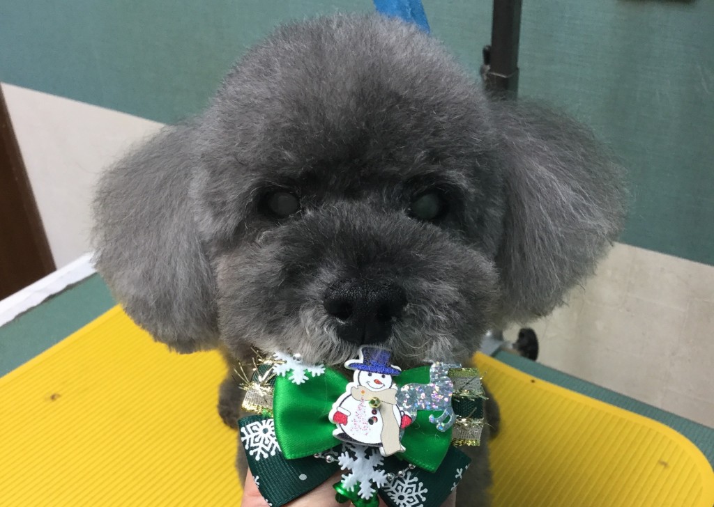 C74E1AA6-6A87-4248-A0C0-349D5E83EFD9