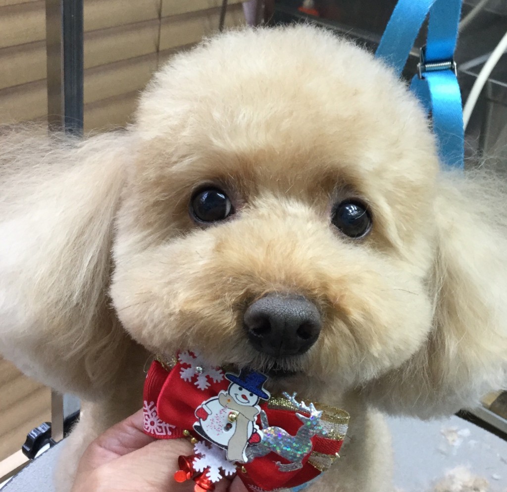 C9239368-22F7-429B-9FAD-2B74C0926AE0