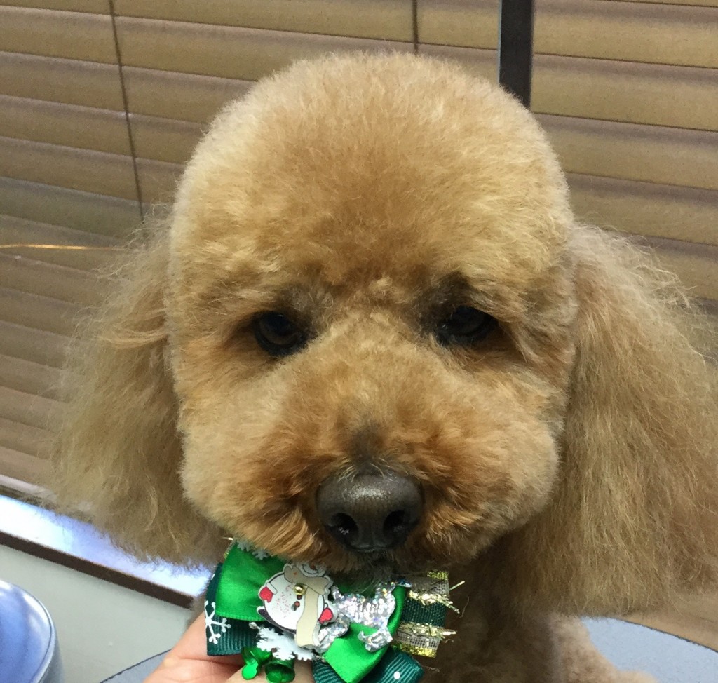 CEE8B6CE-0437-4EB0-B0DE-1C78C4DB2E12