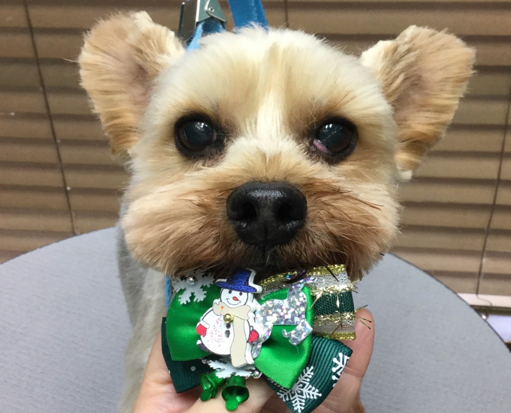 D22FC47F-E897-4C73-9DBD-7389256E7443