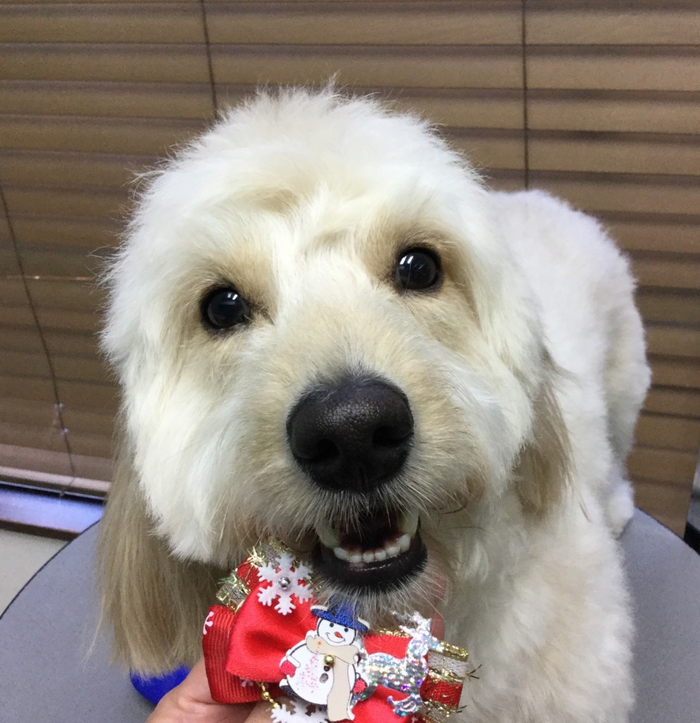 DC0ADC08-E492-4366-96E1-A4E8DA3FD89A